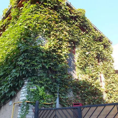 Central Green Apartment *