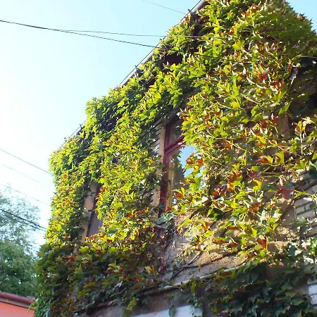 Central Green Apartment